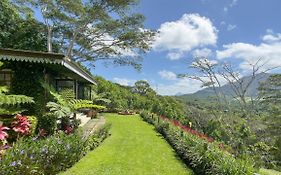 Green Cottage Chamarel