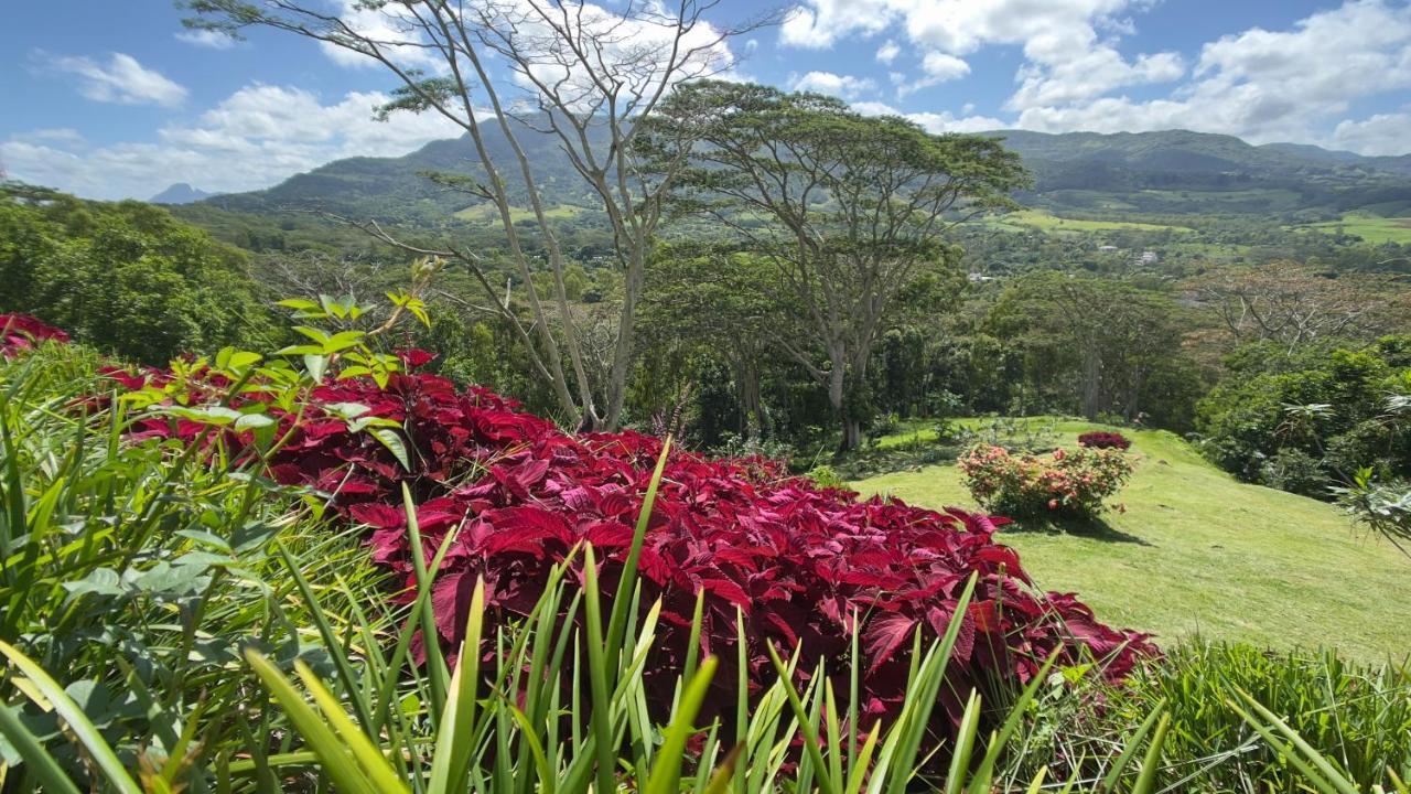Green Cottage Chamarel Exterior foto