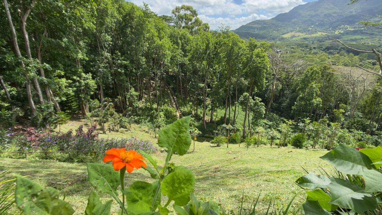 Green Cottage Chamarel Exterior foto